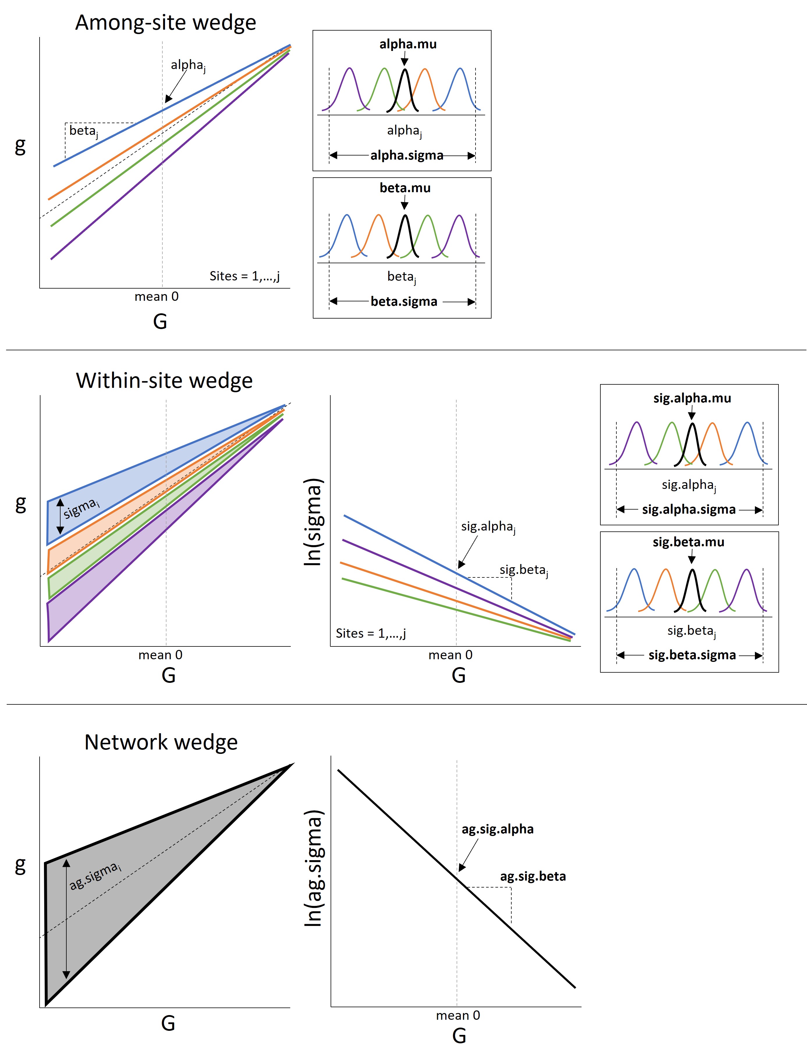 The Wedge Hypothesis - parameters